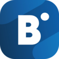 BidVertiser